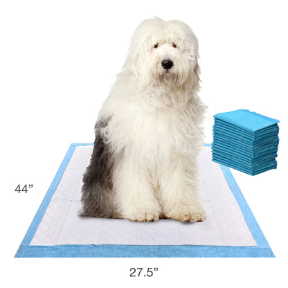 Wee Wee Gigantic Potty Training Dog & Puppy Pads, Pet Pee Pads, XXL 18 Count